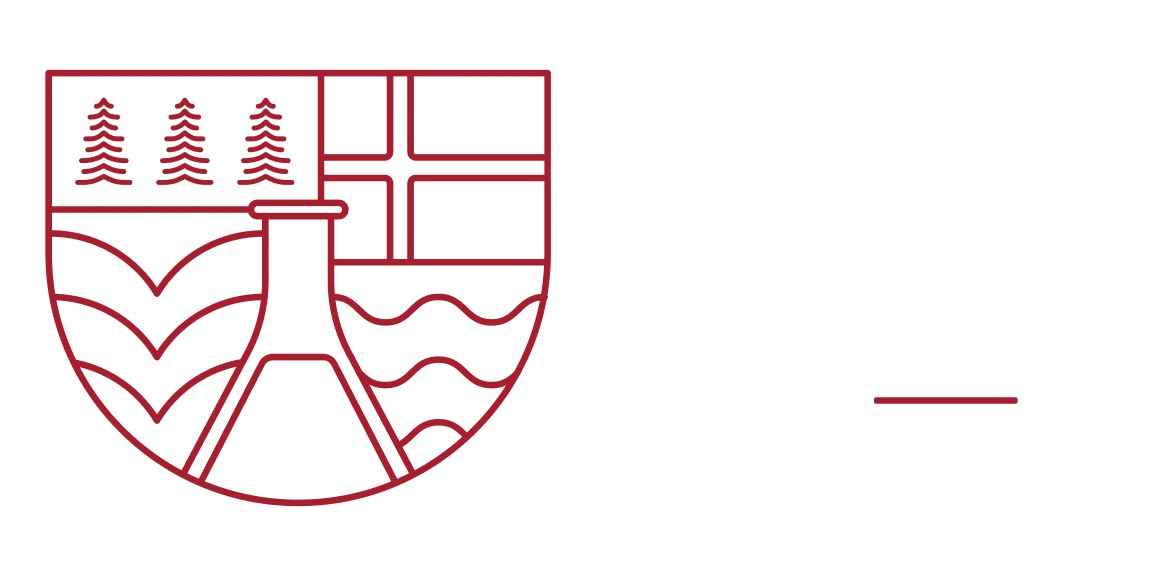 Learn Norsk Lab